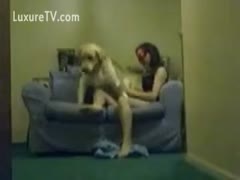 A good time seeing a dog pound a brutal sex paramour